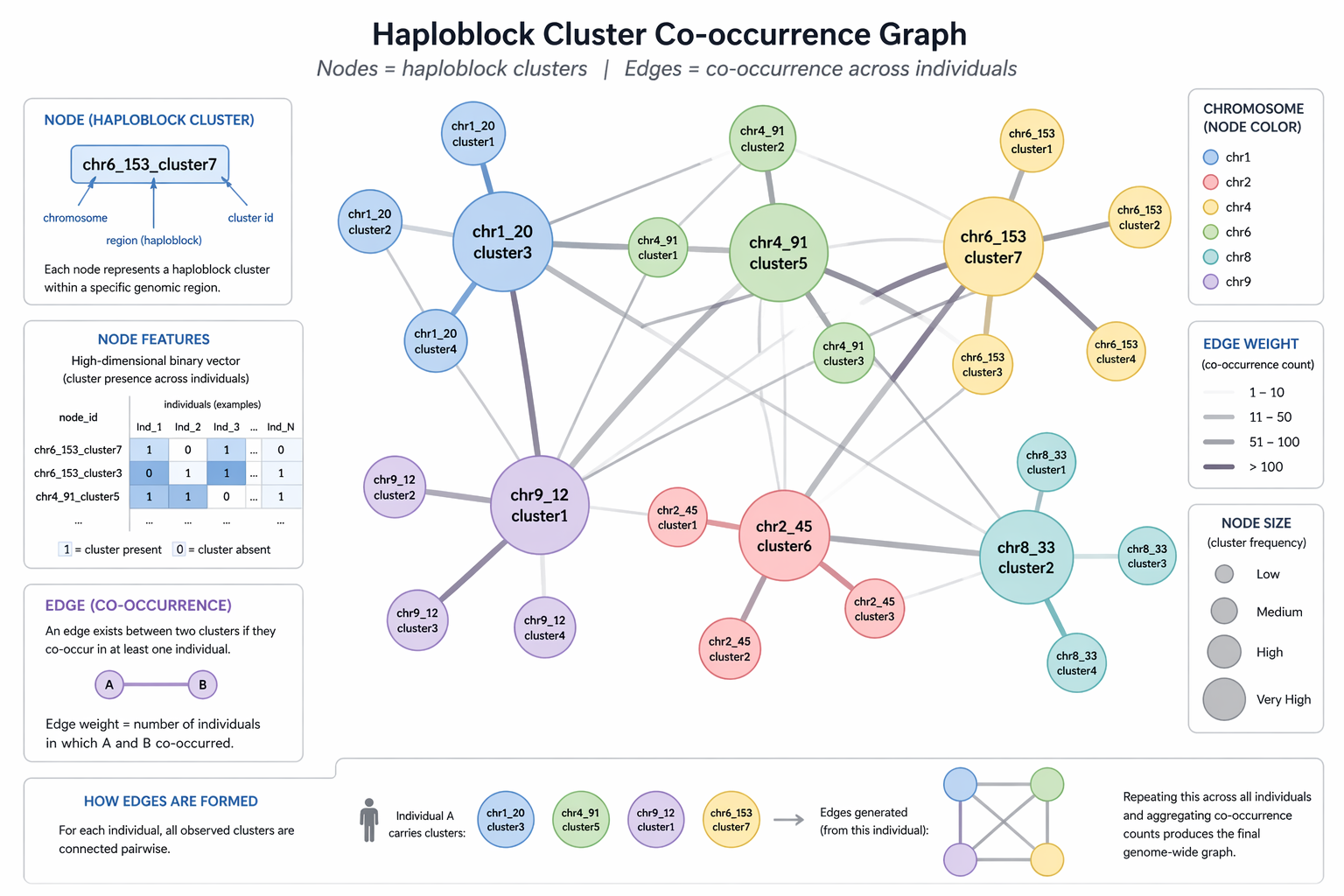 Haploblock co-occurrence graph